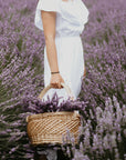 Woman in lavender field in white dress holding basket.
