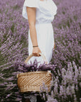 woman in lavender field