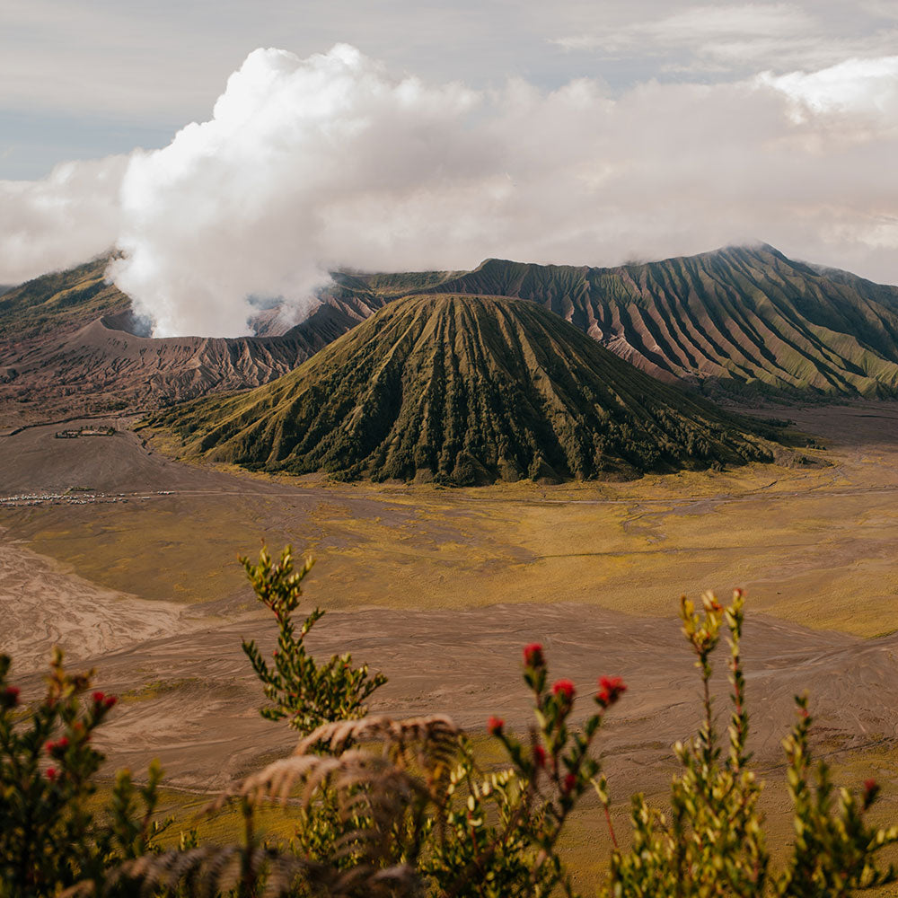 Volcano 1000 mg CBD Balm