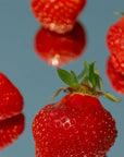 Full-Spectrum Strawberry 1000 mg Tincture